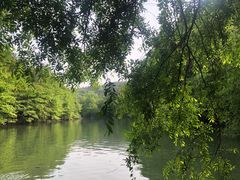 -青龙山国家森林公园