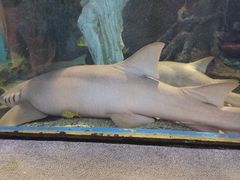 -太平洋海底世界