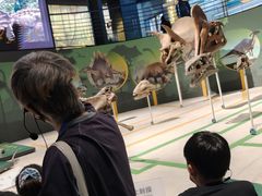 -国家自然博物馆