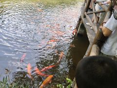 -天目湖山水园