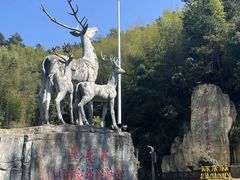 -长沙黑麋峰国家森林公园
