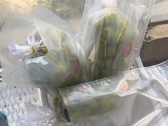 -马陆小张葡萄园农家乐