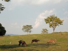 -良渚古城遗址公园
