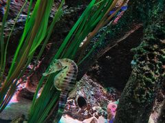 -沈阳海洋探索中心