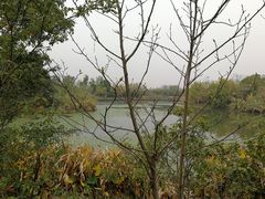 -艾溪湖湿地公园