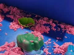 -顺德南宏海立方海洋公园
