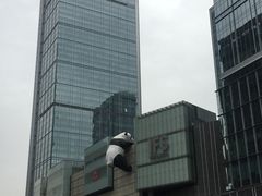 -龙抄手(春熙路总店)