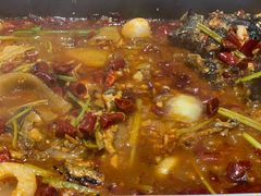 -鱼酷活鱼烤鱼(沈阳大悦城店)