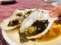 -欢乐海岸美食联盟