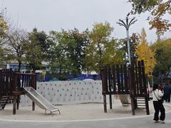 -成飞公园