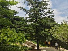 -大连植物园