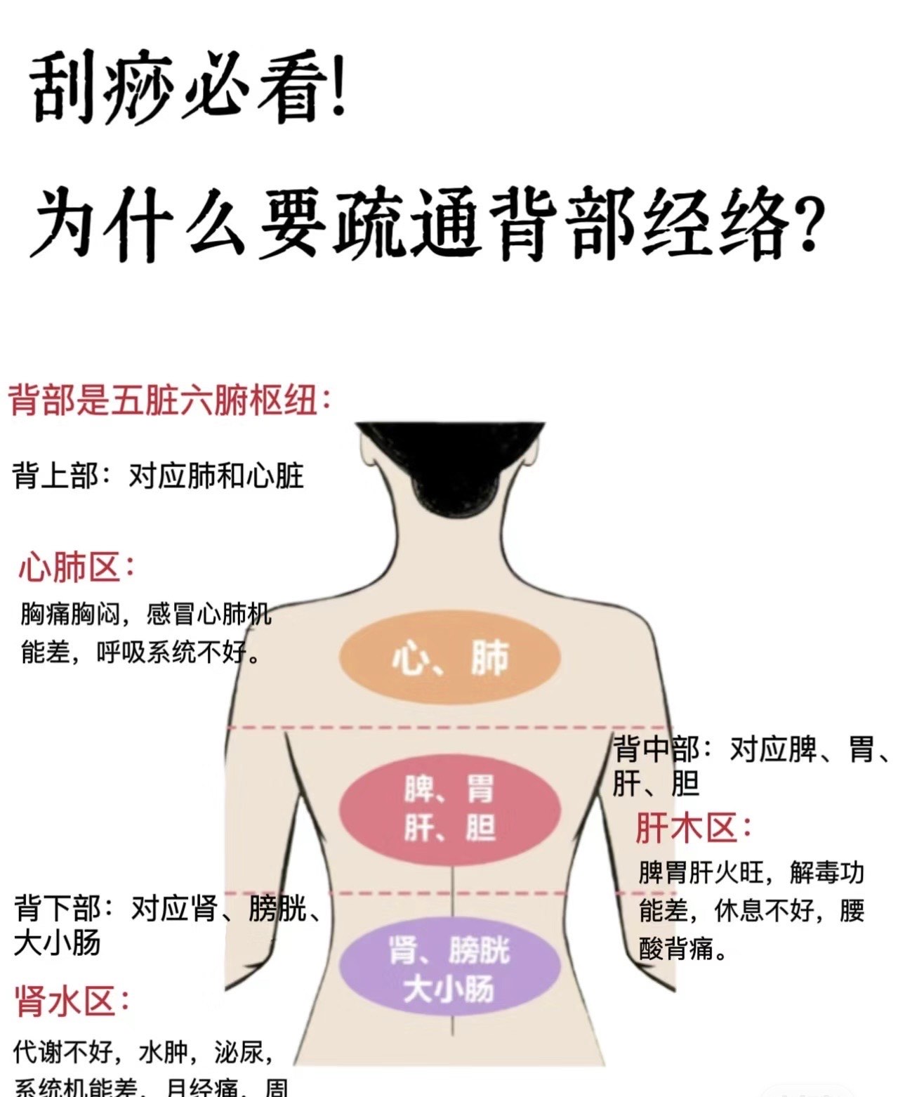 脾反射区图片