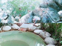 -三江森林温泉度假区