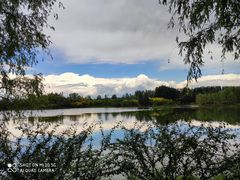 -东郊湿地公园