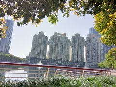 -西北湖绿化广场
