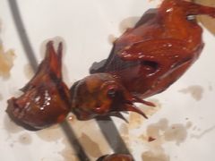 -鸽子侯·家宴·平价海鲜(绿地店)