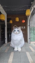 点击看大图 -深礼堂·艺术中心·婚礼·活动·宴会厅(欢乐海岸店)