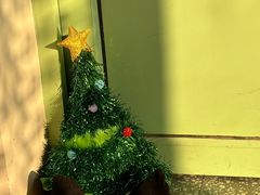 -吾象走甜·生日蛋糕·甜品台茶歇