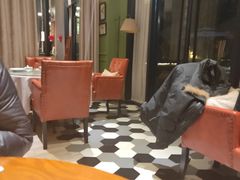 大堂-梧桐花园餐厅(新城店)