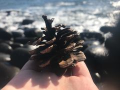 -柱状节理带