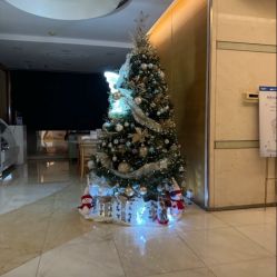 -杭州贝瑞斯美华妇儿医院·早孕·产检·儿科