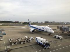 -全日本空输株式会社(上海办事处)