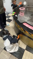 -MELAND CLUB亲子乐园·派对·餐厅(北京芳圆里ID MALL店)