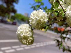 -大龙山(地铁站)