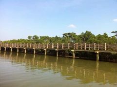 iphone_upload_pic-东寨港红树林旅游区