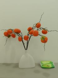 -苗方清颜专业祛痘·皮肤管理