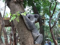 -费瑟代尔野生动物园