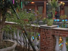 -大门水乡·顺德菜
