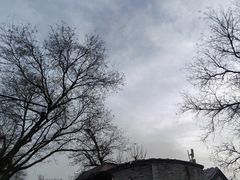 -南锣鼓巷