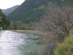 -九寨沟-树正沟