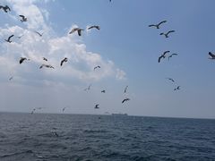 -海驴岛(荣成市)