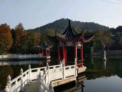 -青龙山国家森林公园