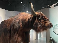 -中国湿地博物馆