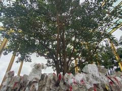 -西双版纳勐泐文化旅游区