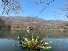 -紫霞湖公园