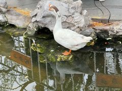 -龙华寺