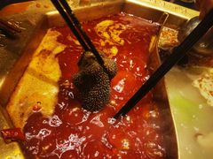 -蜀九香火锅(彩虹店)