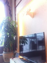 日本DoMo-デザイン(越秀区金润铂宫会所)-ＤＯＭＯプロの美容サロン