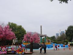 -南湖梦幻岛