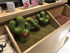 -炖物24章·顺时轻养茶(杭州保利时光里店)
