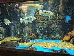 -华夏文旅海洋公园