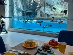 -帝企鹅自助餐厅•儿童岛•真企鹅(长隆企鹅酒店)