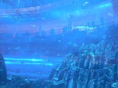 -迪拜水族馆及水下动物园
