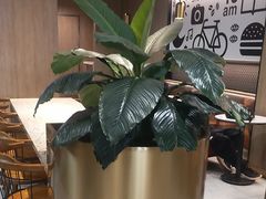 -德克士(长安百货店)