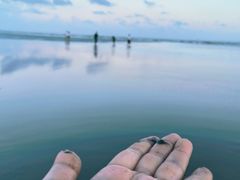 -南汇新城海滩