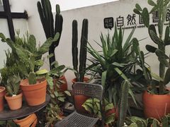 -南山植物园